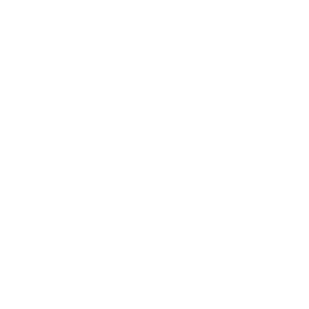 Report Icon